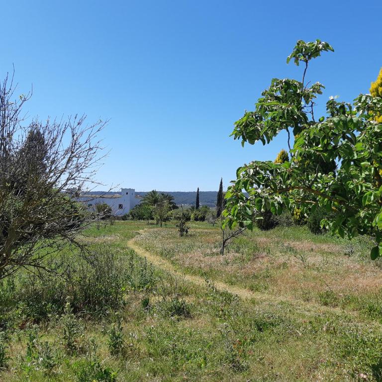 Cortijo del Sueño - Villa Superior - 37