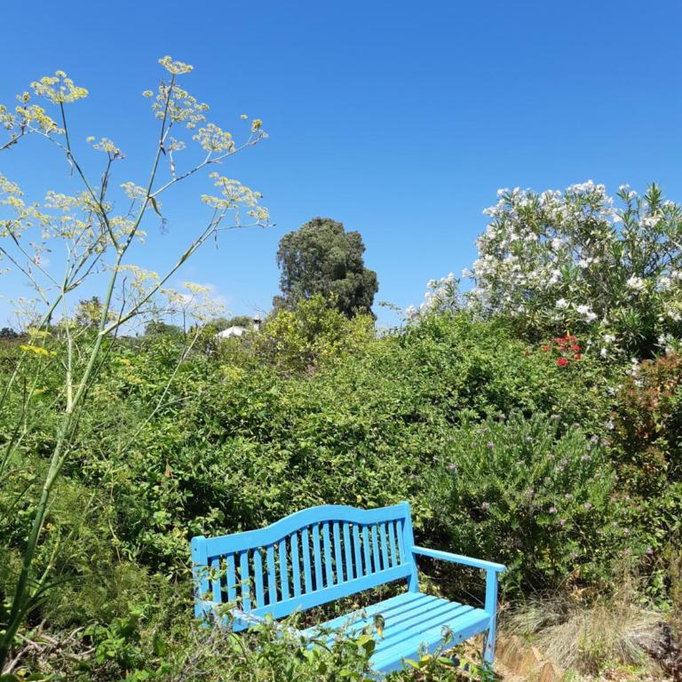 Cortijo del Sueño - Villa Superior - 38