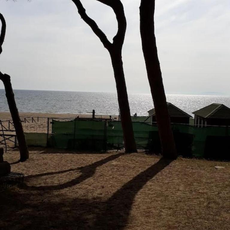 Un mare di relax - Appartamento con 2 Camere da Letto - 15