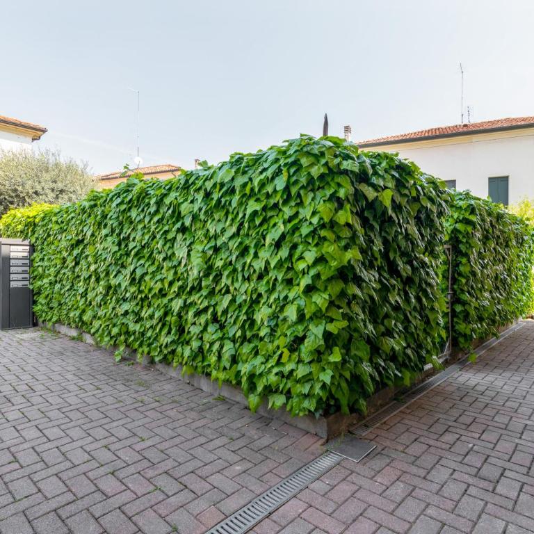 GuestHost - Prato della Valle Roomy Flat - Appartamento con 2 Camere da Letto - 24