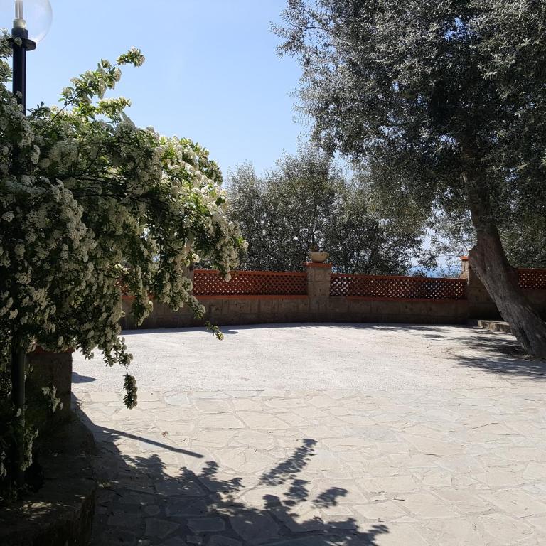 La Scaletta Casa Vacanze - Casa Vacanze - 5
