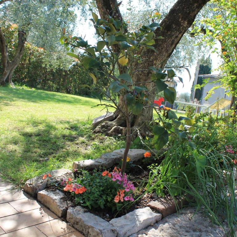 Casa Andreina - Casa Vacanze - 4