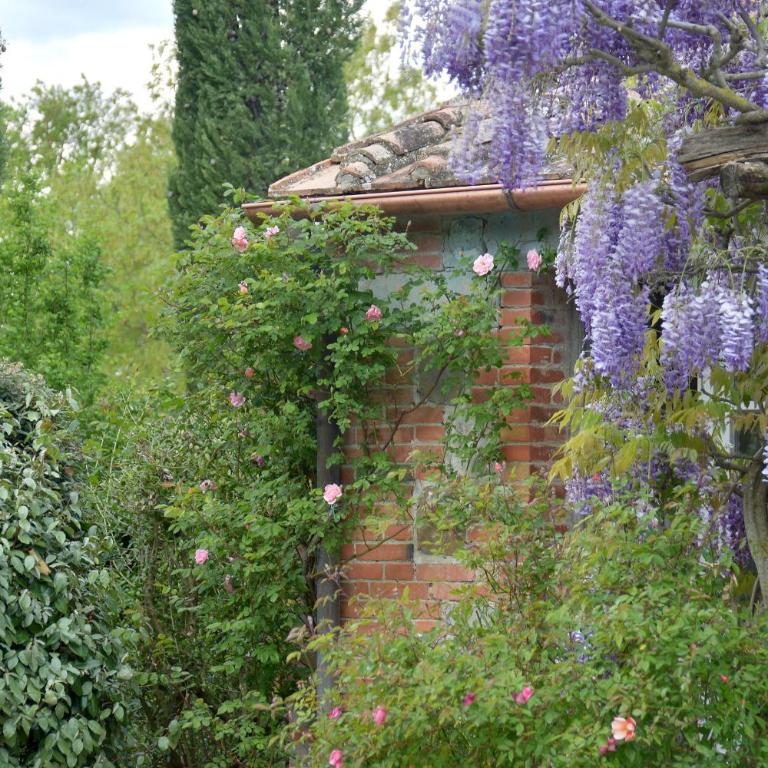 Chiarentana di Donata Origo - Villa con Piscina Privata - 25