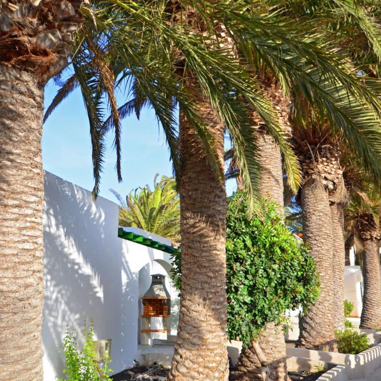 pResidente 2 - Costa Calma - Relax Apartment Pool WiFi Terrace - Apartamento de 1 dormitorio - 10