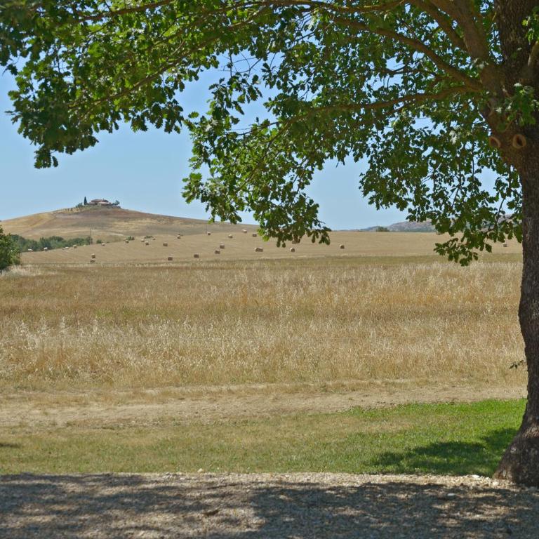 Chiarentana di Donata Origo - Villa con Piscina Privata - 8
