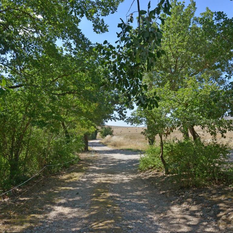Chiarentana di Donata Origo - Villa con Piscina Privata - 10