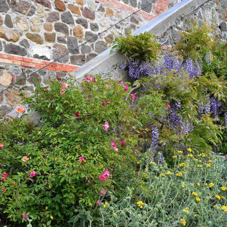 Chiarentana di Donata Origo - Villa con Piscina Privata - 16