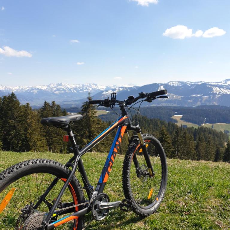 Allgäu Bergluft - Apartment - 46