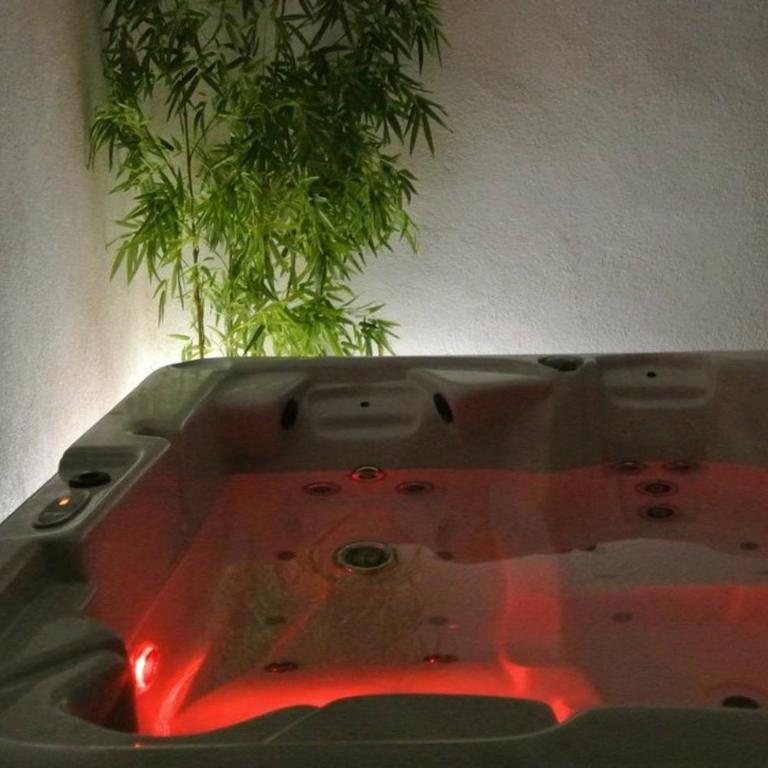 Détente à Lorgues avec piscine privée - Appartement - Vue sur Piscine - 19