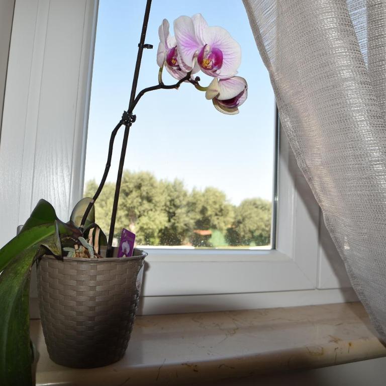 Appartamenti in villa Alessia - Appartamento Standard - 25