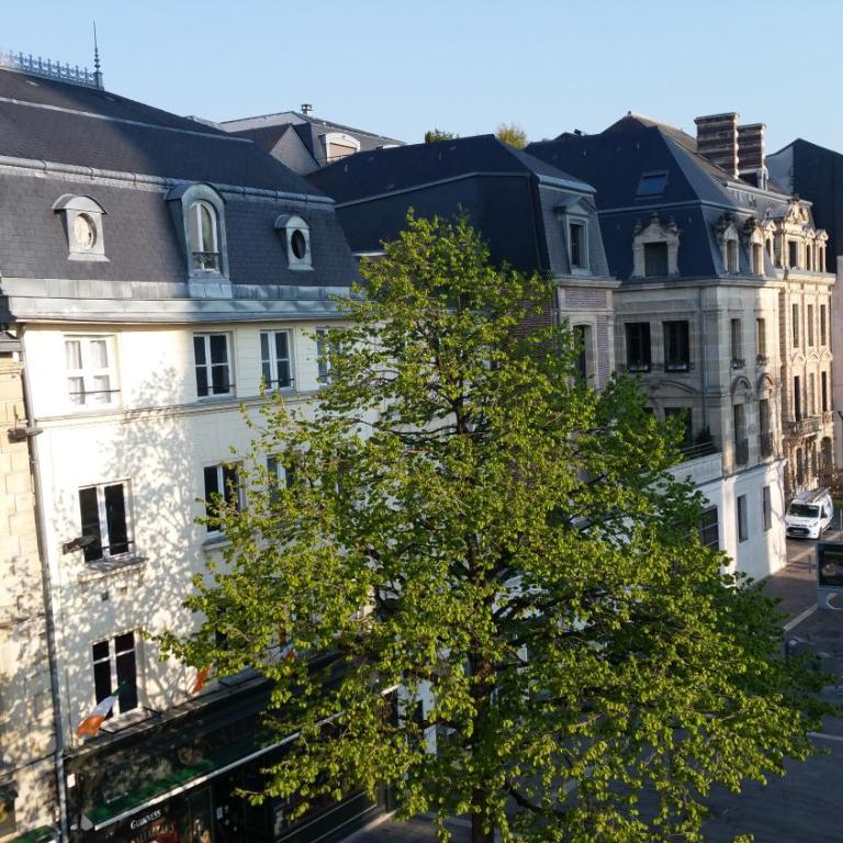 Fiquet de Normanville pour votre bien être en plein coeur historique - Appartamento con 1 Camera da Letto - 30