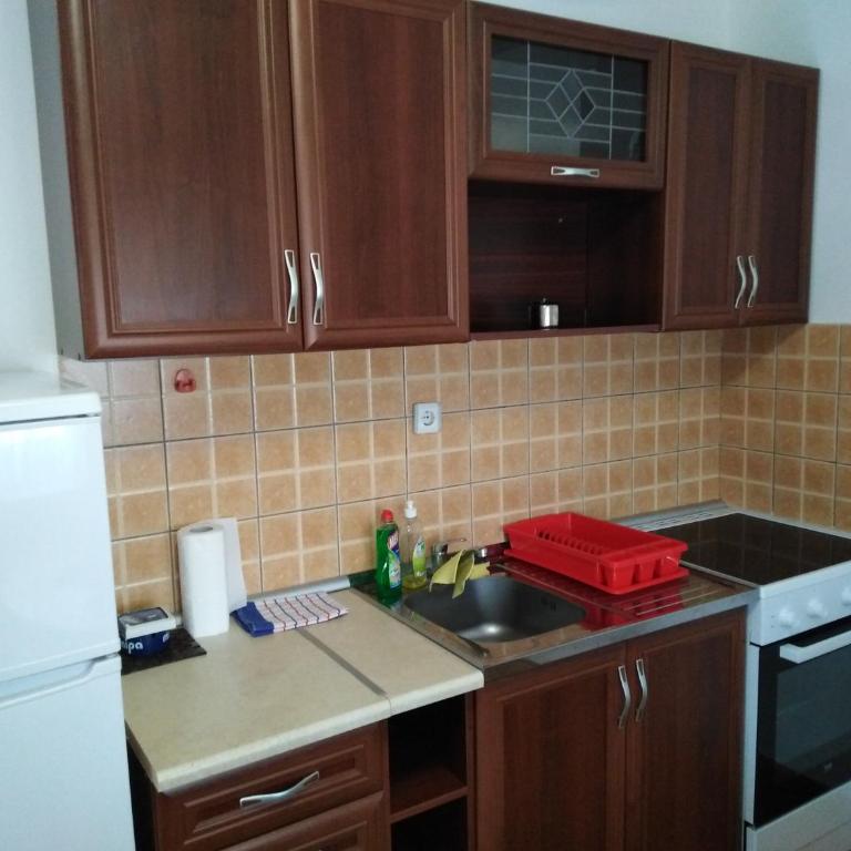 Apartment Jovana Vrnjačka Banja - Apartman sa 1 Spavaćom Sobom - 29
