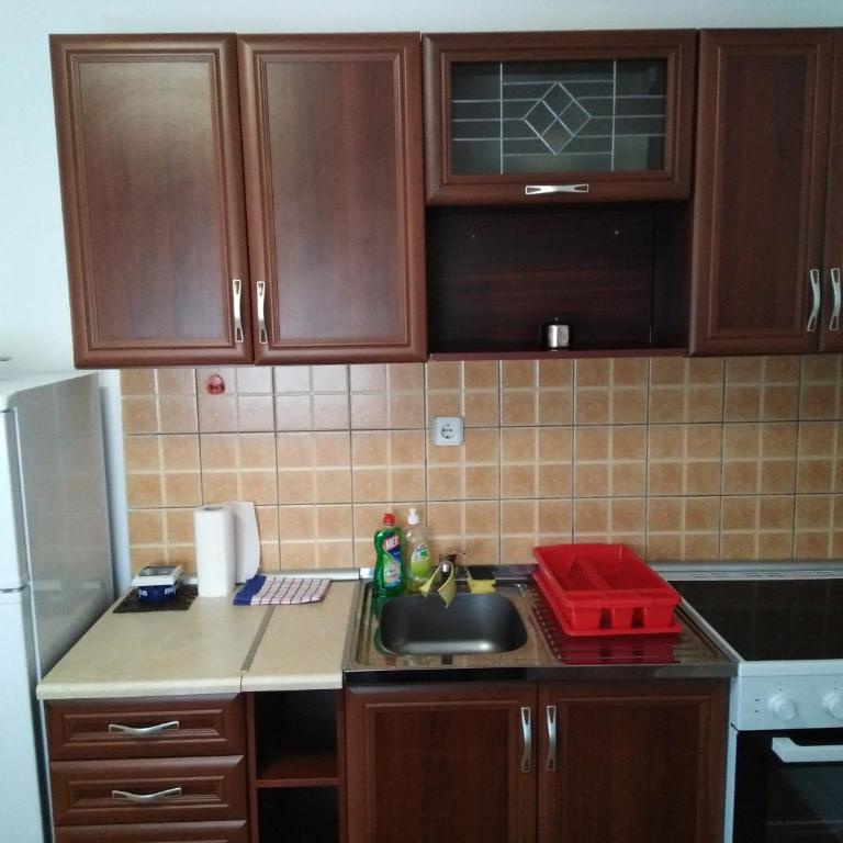 Apartment Jovana Vrnjačka Banja - Apartman sa 1 Spavaćom Sobom - 30