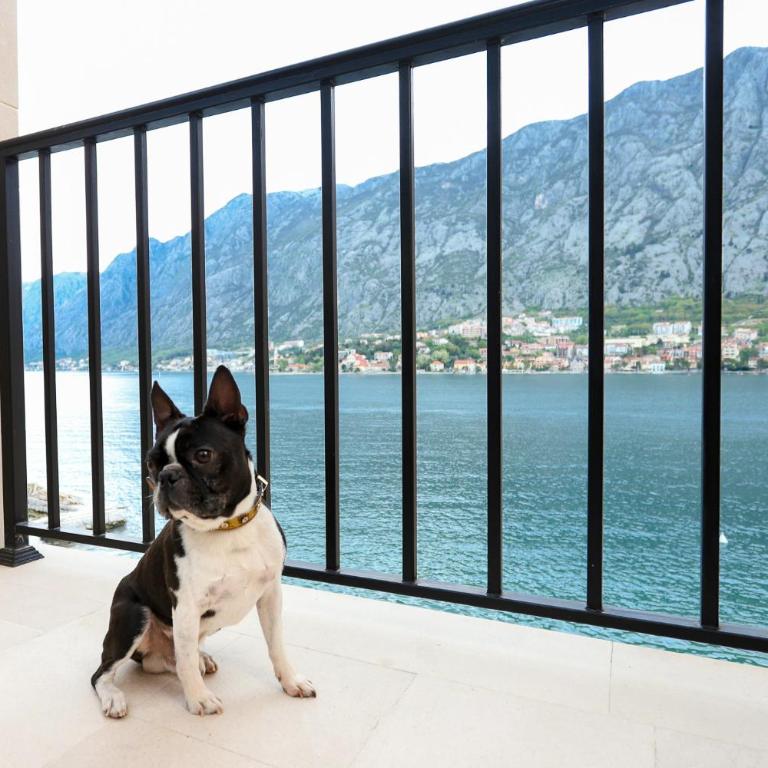 Apartments Rozer - Studio - 3