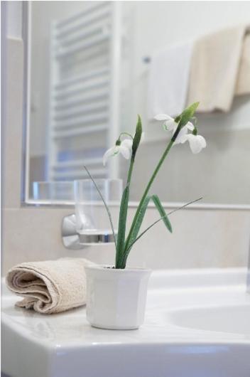 Apartments Chalet Ciufdlton - Appartement 1 Chambre - 6