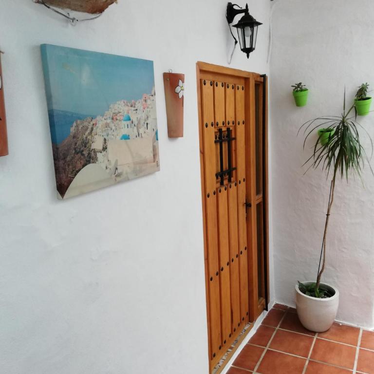 el chaparral - Apartamento de 1 dormitorio - 2