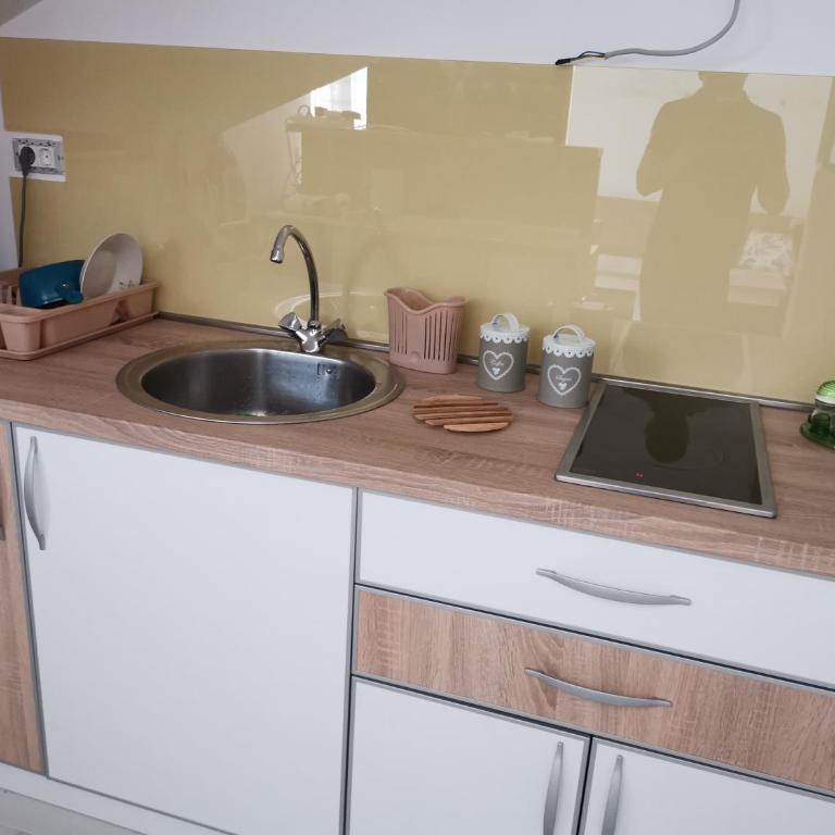 Apartman Maximus - Apartment with Terrace - 16