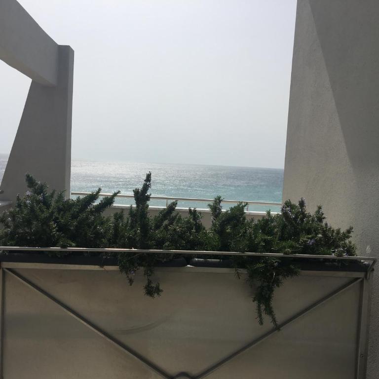 Vela d’Oro - Double Room with Sea View - 15