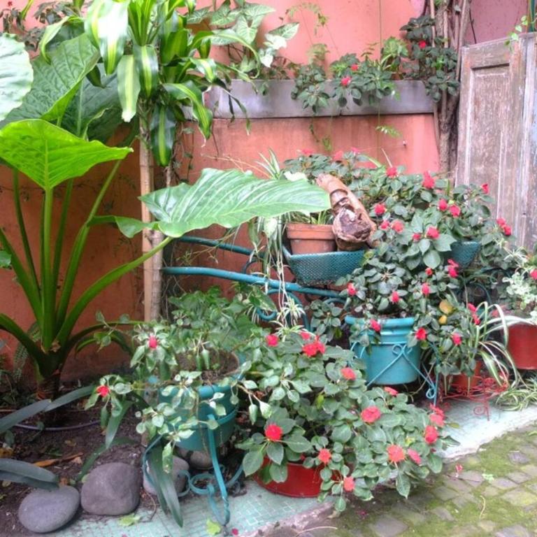 Casa San Telmo 13 - Apartamento - 2 niveles - 17