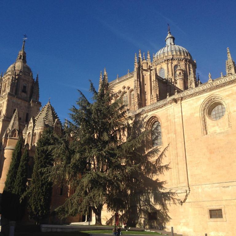 Central Quality Apartment Spa Salamanca - Two-Bedroom Apartment - 41