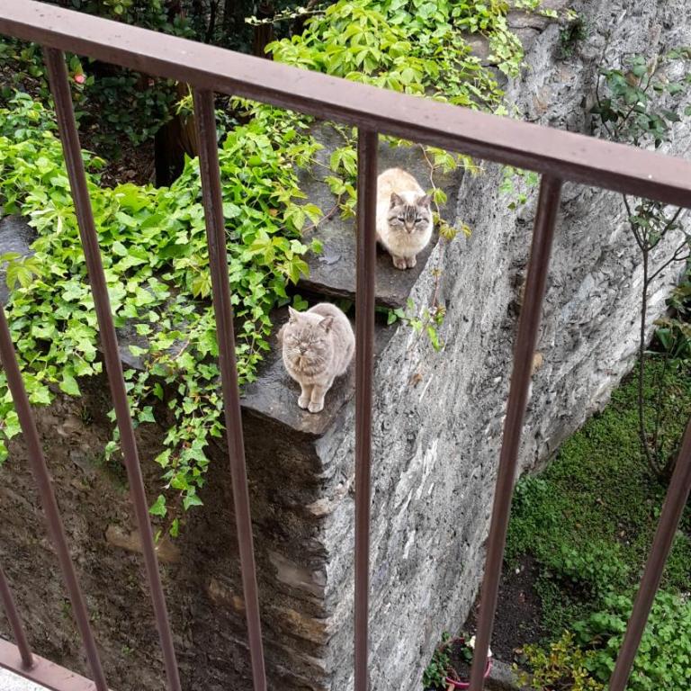 Appartamenti Raineri - Appartamento con 2 Camere da Letto e Balcone - 18