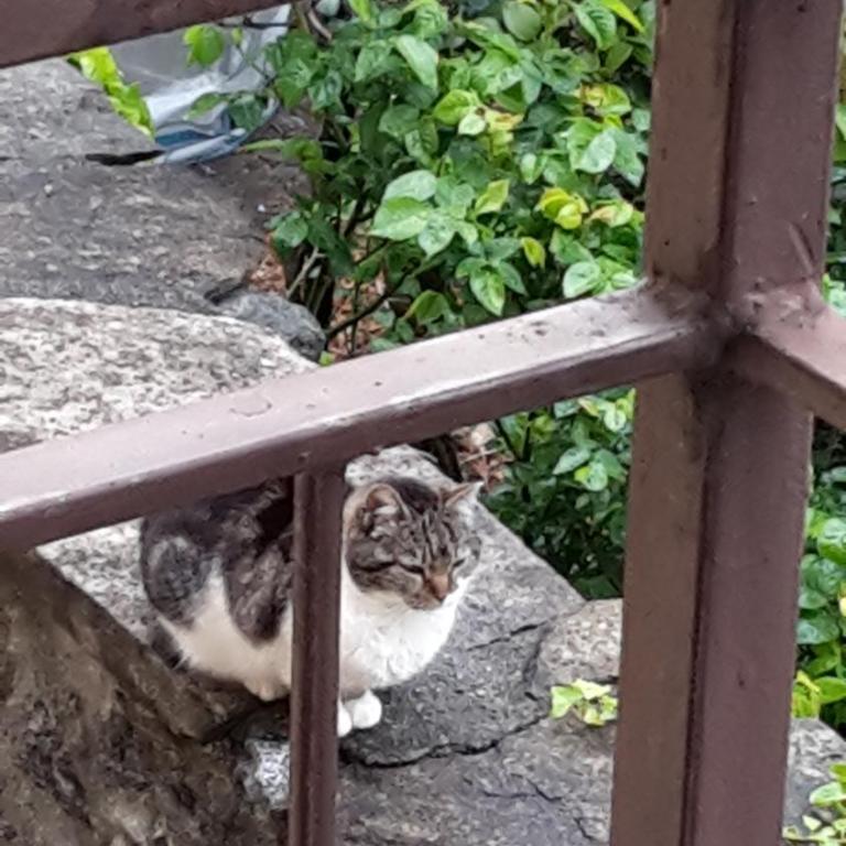 Appartamenti Raineri - Appartamento con 2 Camere da Letto e Balcone - 17
