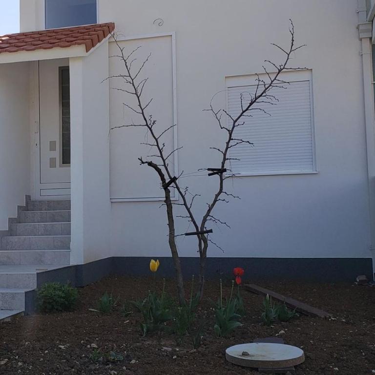 Apartmani Suncokreti - Sunflower Apartments - Two-Bedroom Apartment - 23