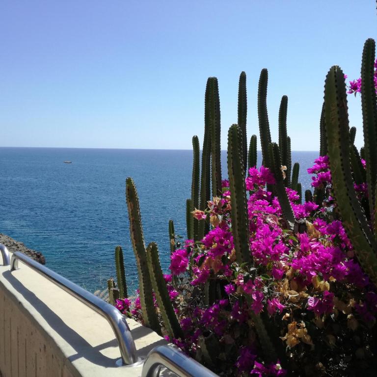 Apartment 3 minutes from Puerto Rico beach - Apartamento de 2 dormitorios - 45
