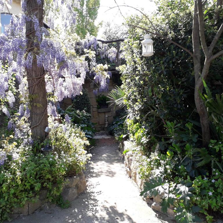 Jardin et bambous, studio cosy, classé 2 étoiles - Appartement - 34