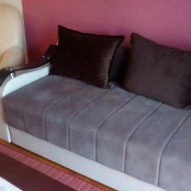 Apartment Jovana Vrnjačka Banja - Apartman sa 1 Spavaćom Sobom - 10