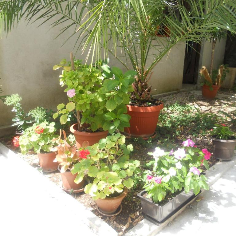 Guest House Goa Mostar - Triple Room with Shared Bathroom - 3