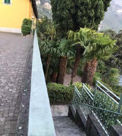 Casa Garden - Appartamento - 12