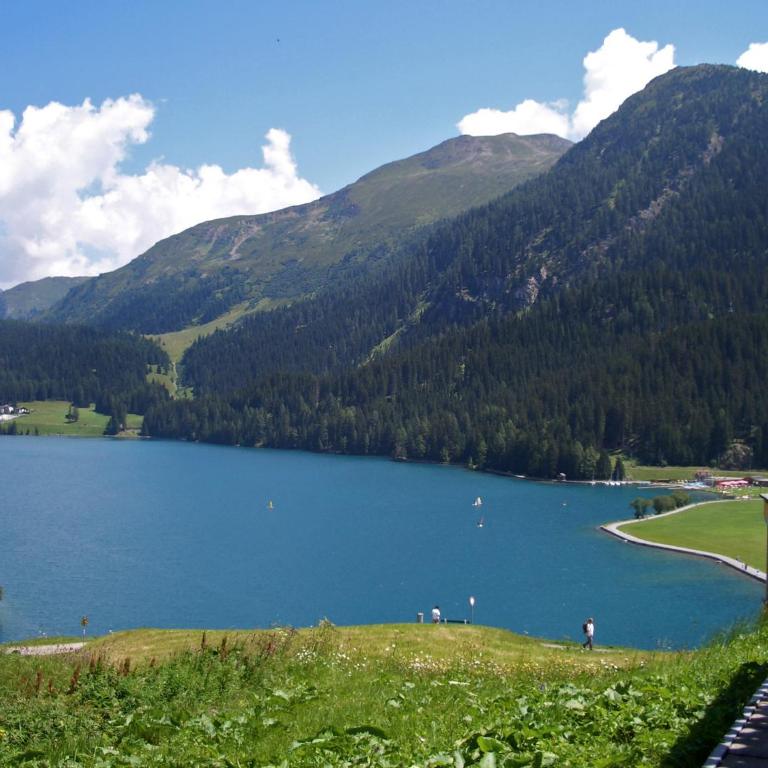 Seeblick Davos - Chalet mit 3 Schlafzimmern - 2