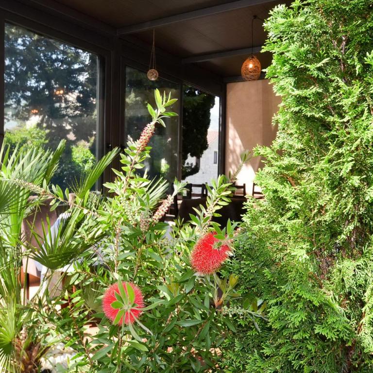 Bocche di Cattaro Apartments - One-Bedroom Apartment with Terrace and Sea View - 31