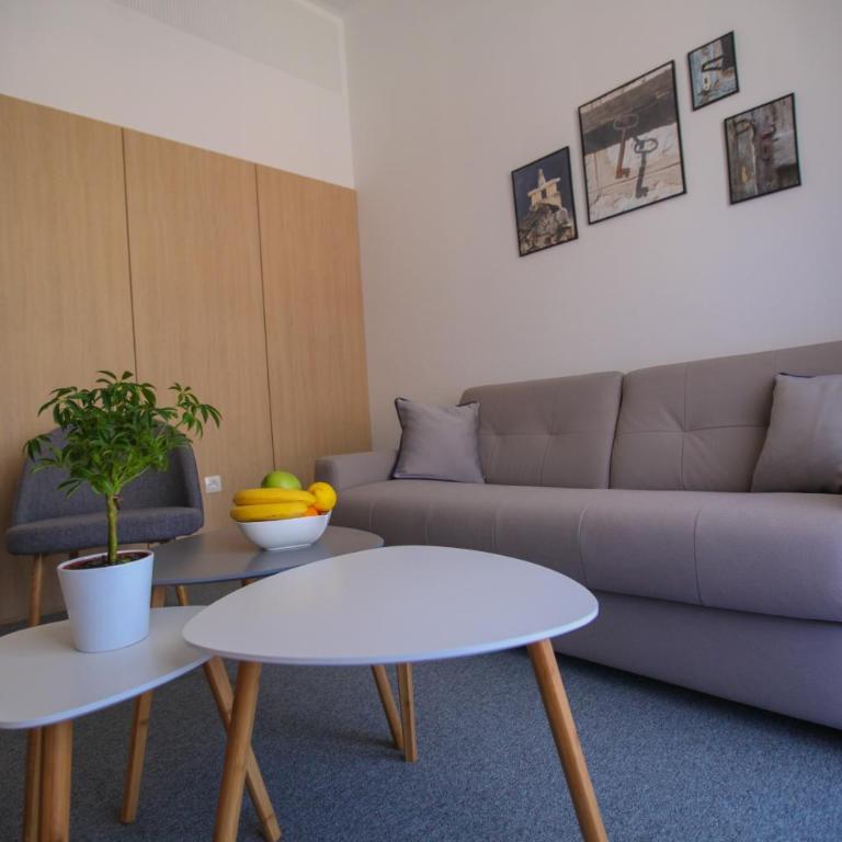 Luxury Apartments Taša - Standardni Apartman - 8