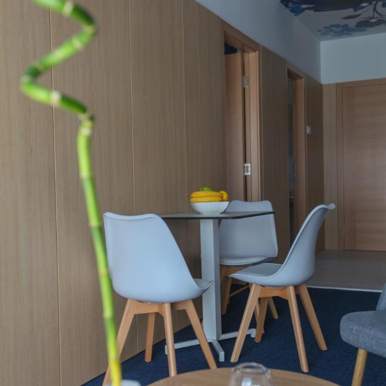 Luxury Apartments Taša - Deluks Apartman - 10