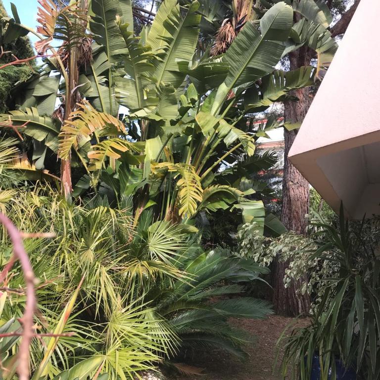 19 Rue du Parc Alexandre III - Appartement 1 Chambre - 12