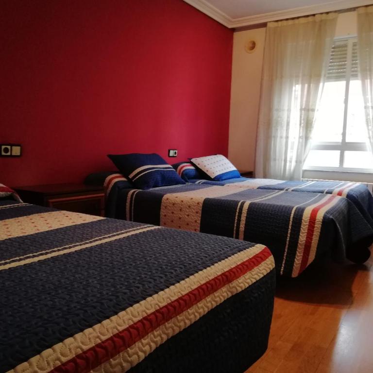 León Arena - Apartamento - 1