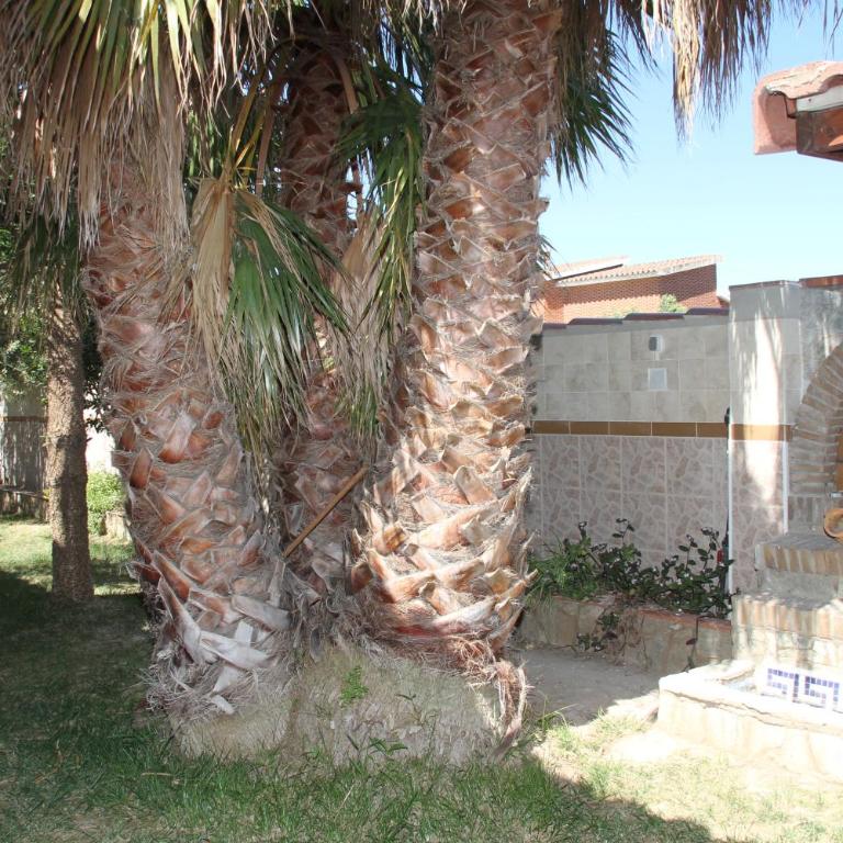 Chalet con piscina privada en zona tranquila de Cambrils - Casa de 4 dormitorios - 15