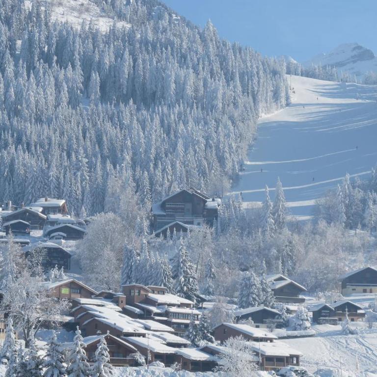 Chalet Les Trappeurs - Apartamento de 3 dormitorios - 28