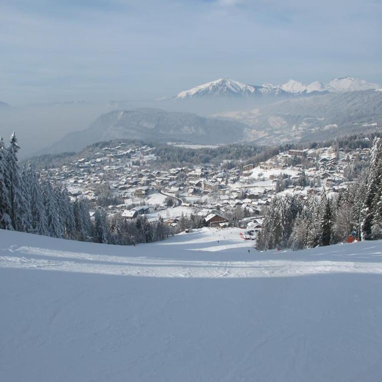 Chalet Les Trappeurs - Apartamento de 3 dormitorios - 38