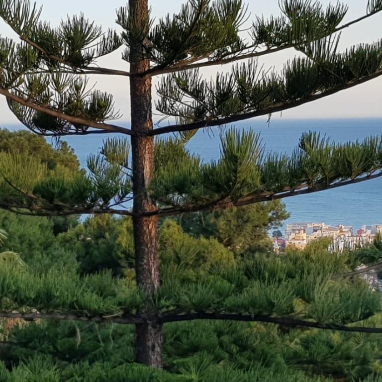 Rentcostadelsol Villa Pinares-Malaga - Villa - 43