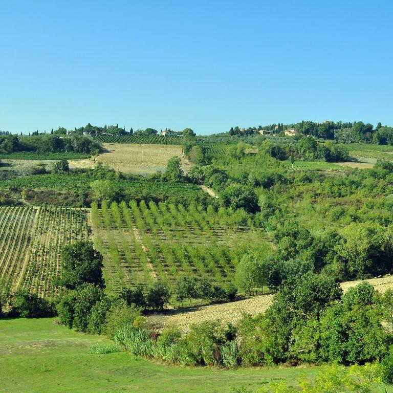 AGRITURISMO IL PINO - APPARTAMENTO QUERCE - Appartamento con 2 Camere da Letto - 43