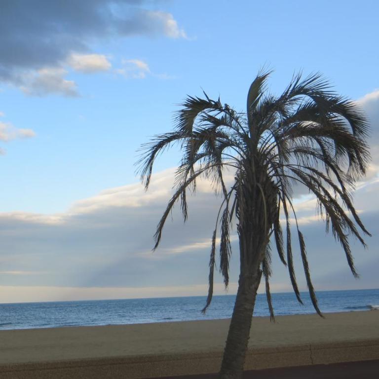 RESIDENCE LE NEULOS, T2 40m2 AVEC GARAGE PRIVE, 150 m de la mer, Avenue Roussillon Canet-Plage - Superior Apartment - 68