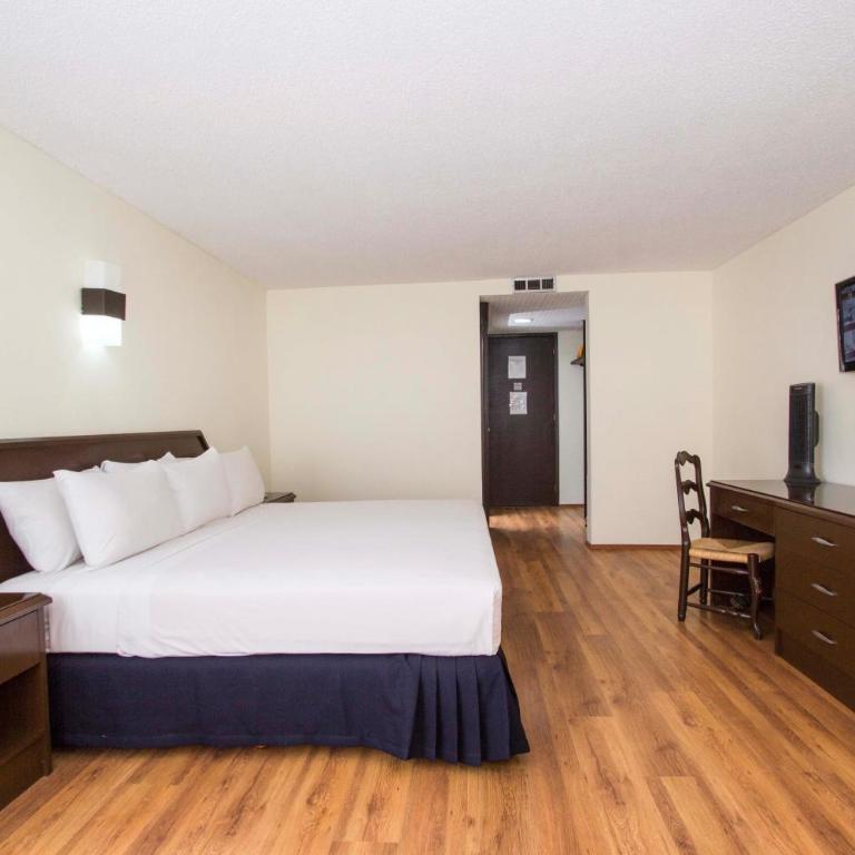 Hotel Valle de Mexico Toreo - Superior King Room - 1