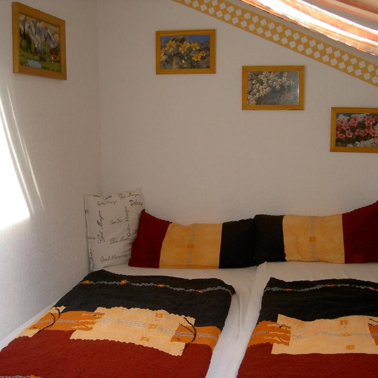 Adlerhorst Ferienwohnung - Appartamento con 1 Camera da Letto - 9