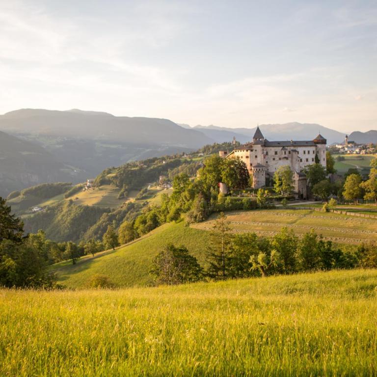 Apartments Schlossblick Naturholz - Appartamento con 2 Camere da Letto e Balcone - 30