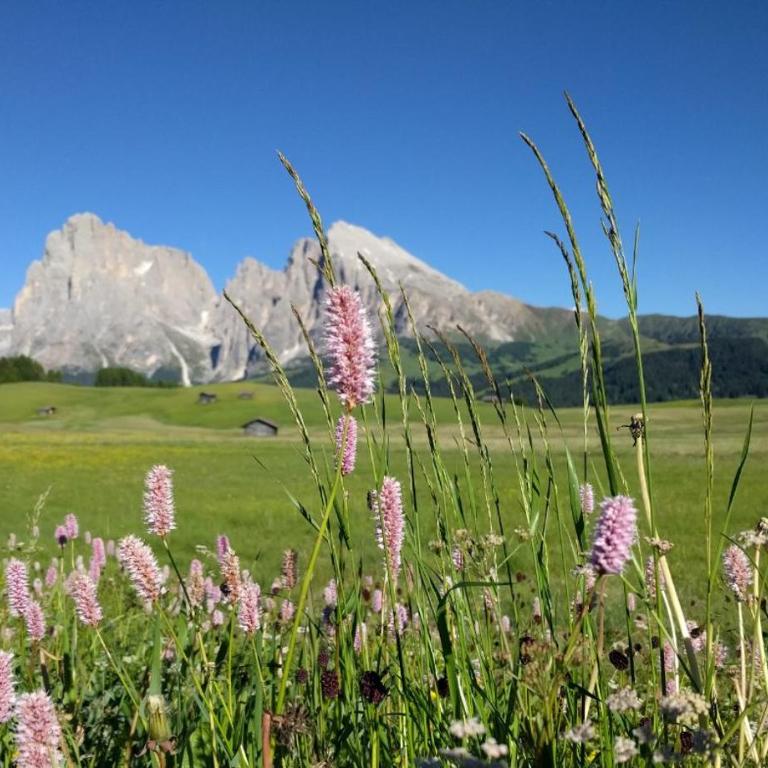 Apartments Schlossblick Naturholz - Appartamento con 2 Camere da Letto e Balcone - 38