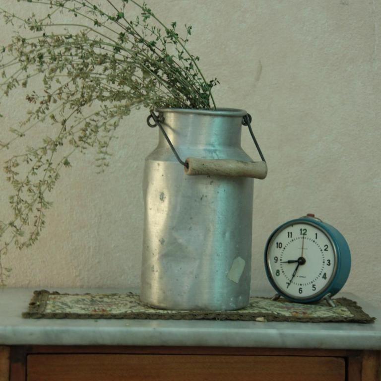 Studios Garden Terrace Oltrarno - Appartamento Monolocale - 33