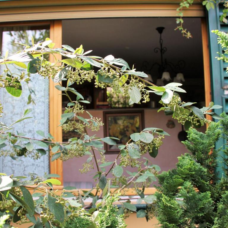 Studios Garden Terrace Oltrarno - Appartamento Monolocale - 13